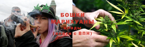 индика Новозыбков