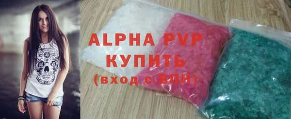 индика Новозыбков