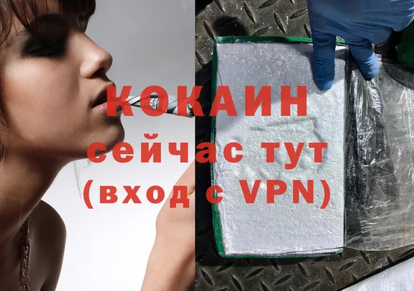 индика Новозыбков