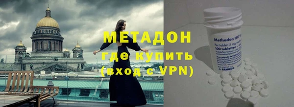 индика Новозыбков