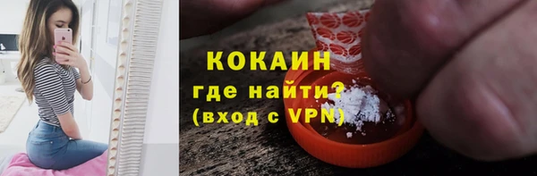 индика Новозыбков