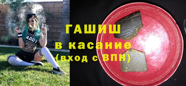 индика Новозыбков