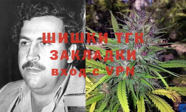 сатива Нязепетровск