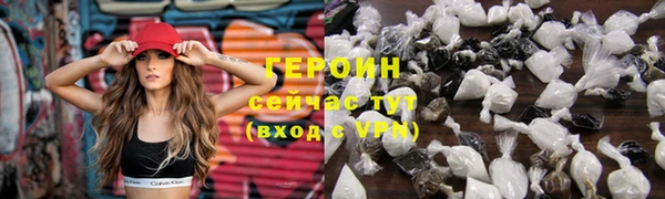 индика Новозыбков