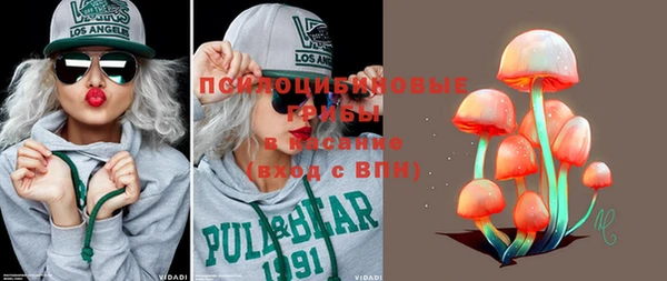 MDMA Новодвинск