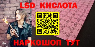 спайс Берёзовский