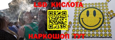 спайс Берёзовский