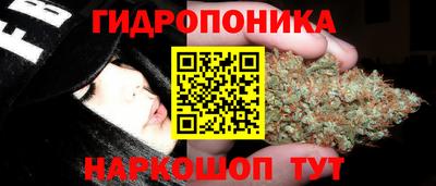 прущая мука Кандалакша
