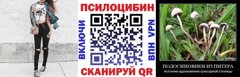 kraken онион  Надым  Псилоцибиновые грибы ЛСД  купить наркоту 