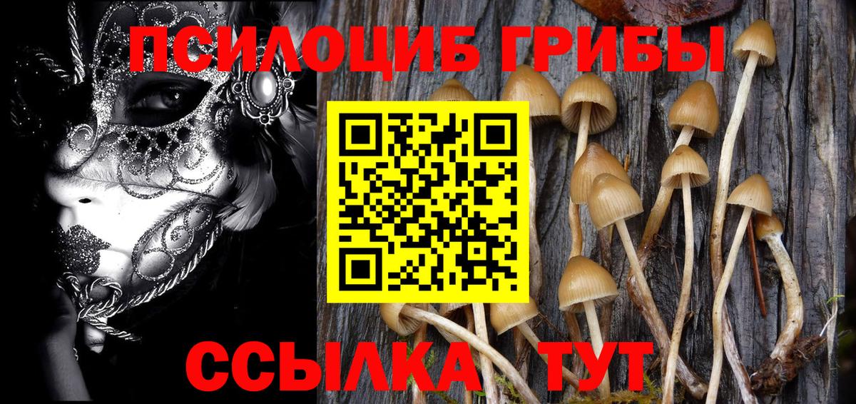 Псилоцибиновые грибы Cubensis  Надым 